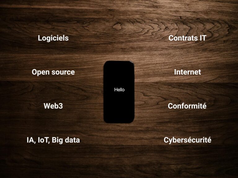 Avocat Numérique Lyon